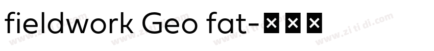 fieldwork Geo fat字体转换